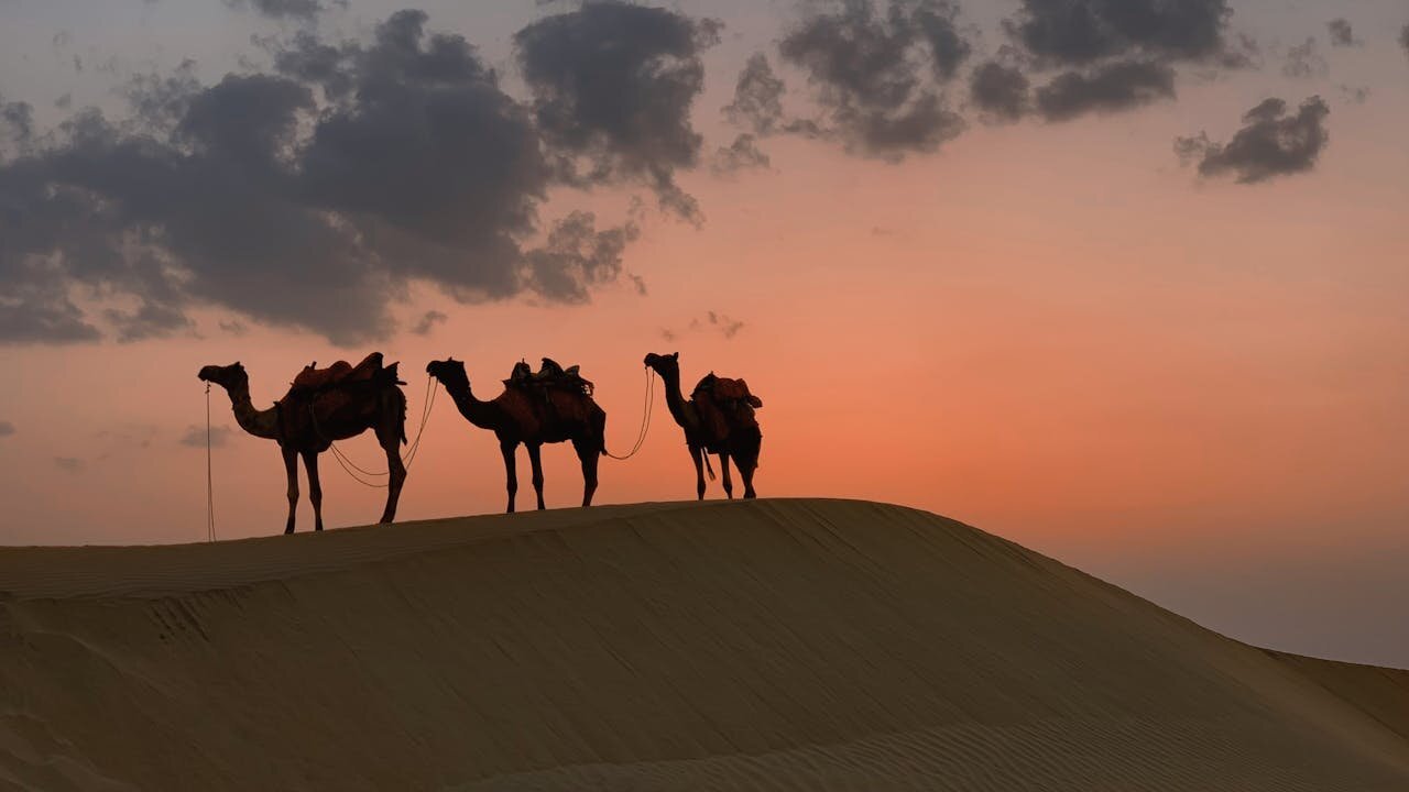 Desierto Thar, Jaisalmer